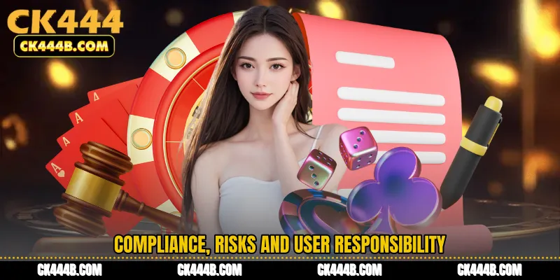Compliance, Risks and User Responsibility