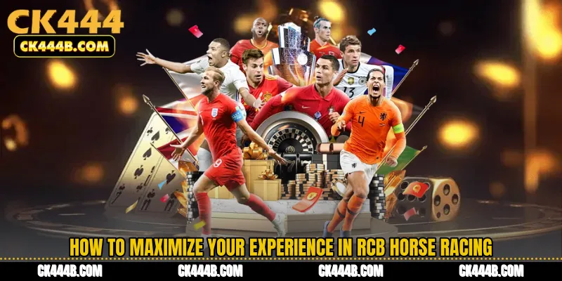 How to Maximize Your Experience in RCB Horse Racing