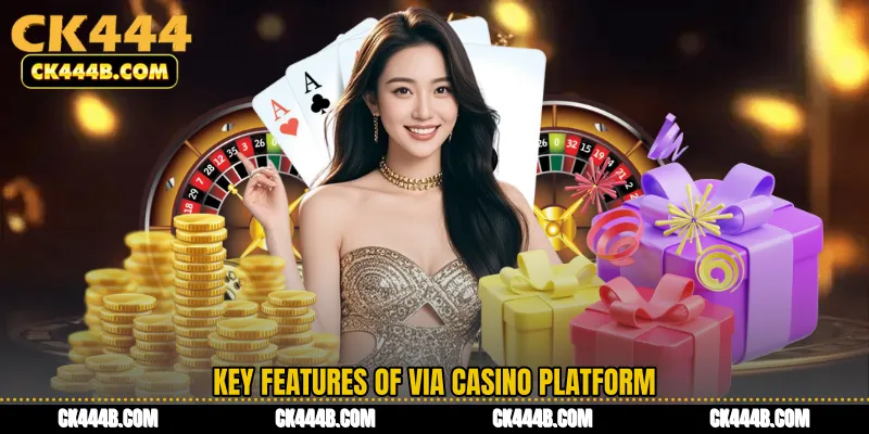 Key Features of VIA Casino Platform