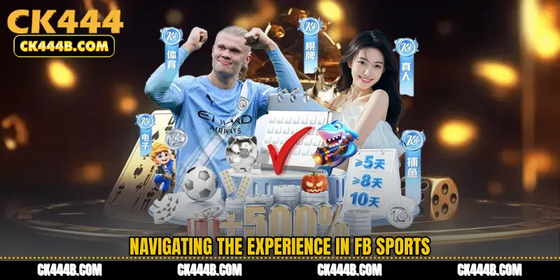 Navigating the Experience in FB Sports