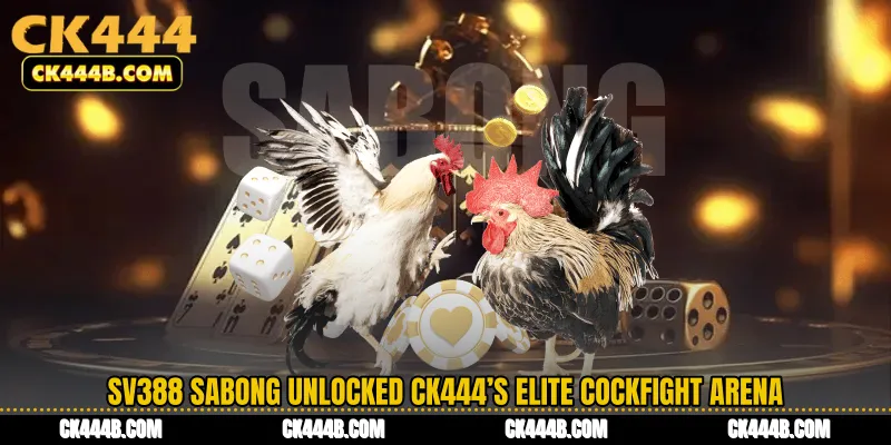SV388 Sabong Unlocked CK444’s Elite Cockfight Arena
