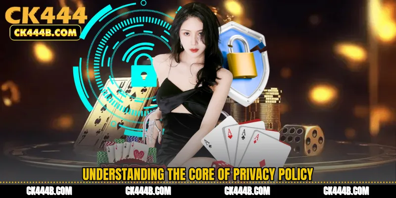 Understanding the Core of Privacy Policy
