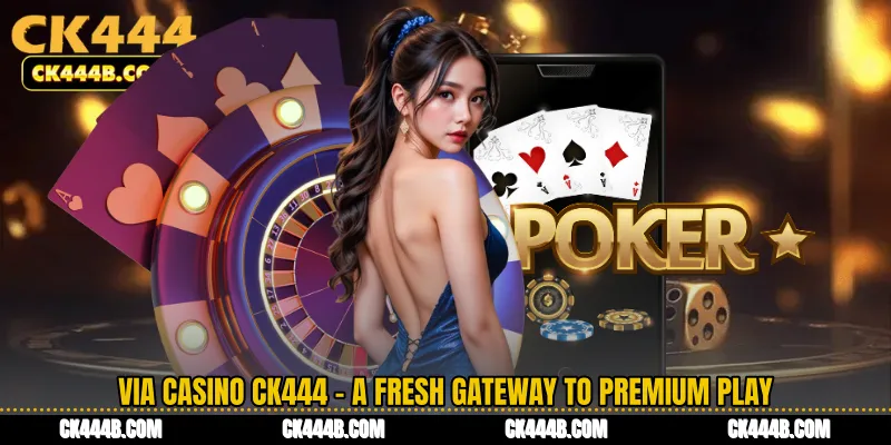 VIA Casino CK444 - A Fresh Gateway to Premium Play
